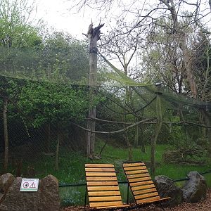 Cottontop tamarin outdoor enclosure