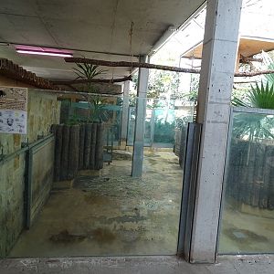 Tropical House - Pygmy hippo enclosure