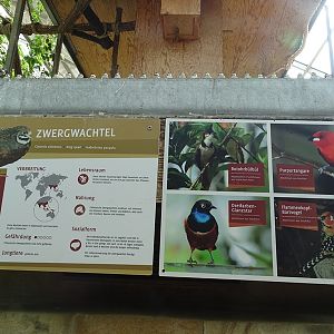 Tropical House - Free-roamer signage