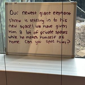 May 2025 - RACC - New Sengi Signage