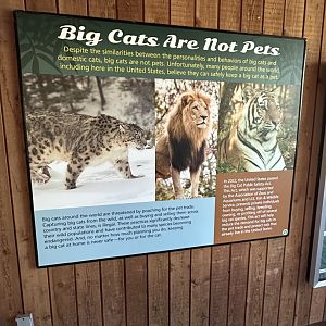 May 2025 - Big Cat Falls - Signage (1)