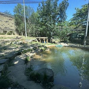 May 2025 - Big Cat Falls - Tiger Enclosure