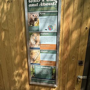 May 2025 - Big Cat Falls - Puma Signage