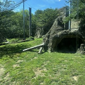May 2025 - Big Cat Falls - (Empty) Lion Enclosure