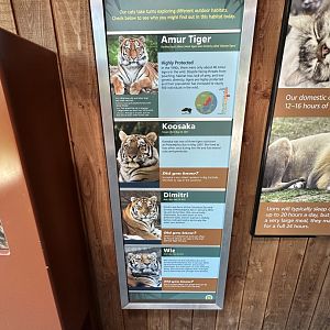 May 2025 - Big Cat Falls - Tiger Signage