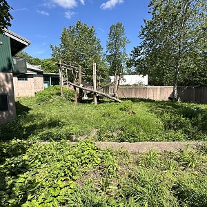 May 2025 - PECO Primate Reserve - (Empty) Gorilla Enclosure