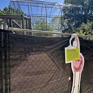 May 2025 - Flamingo Walkthrough (under construction)