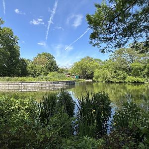 May 2025 - Bird Pond - Overview (from McNeil Avian Center)