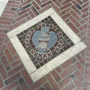 May 2025 - McNeil Avian Center - Kingfisher Mosaic