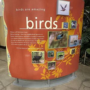 May 2025 - McNeil Avian Center - Atrium Signage