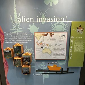 May 2025 - McNeil Avian Center - Alien Signage