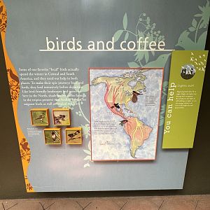 May 2025 - McNeil Avian Center - Coffee Signage