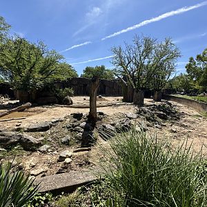 May 2025 - African Plains - Mixed Enclosure