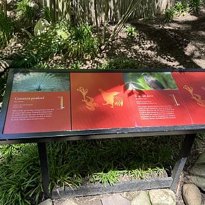 May 2025 - Wings of the World - Signage (and Peacock)