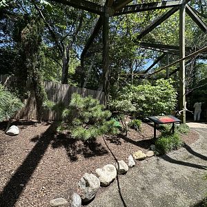 May 2025 - Wings of the World - General View