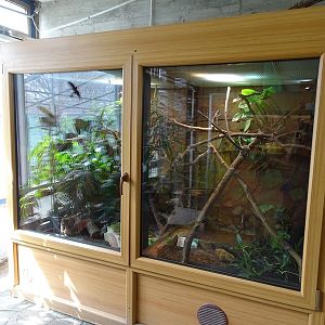 Tropical House - Tree frog terrarium
