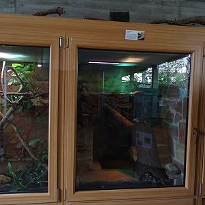 Tropical House - ball python terrarium