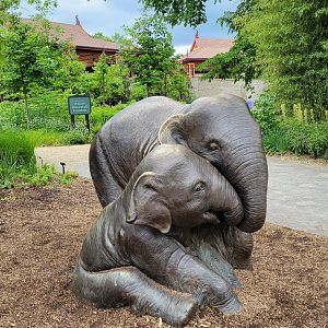 May. 2025 - NEW! Elephant Trek