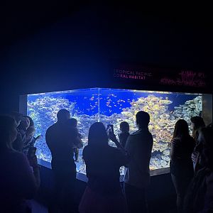 Living Seas Gallery - Tropical Pacific