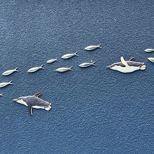 Little Blue Penguins - Wall Decor