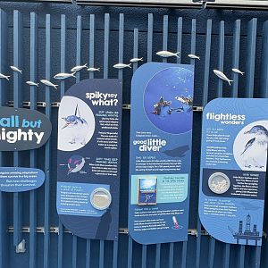 Little Blue Penguins - Signage