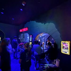 Living Seas Gallery - Giant Pacific Octopus