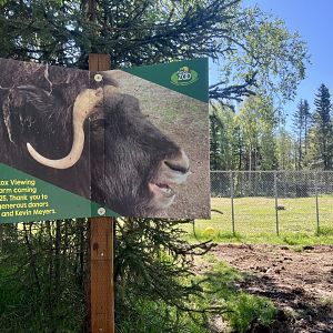 Site of soon to be viewing platform.