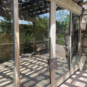 Ringtail Enclosure