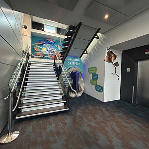 Aquarium Entry