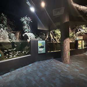 Flooded Forest Exhibits