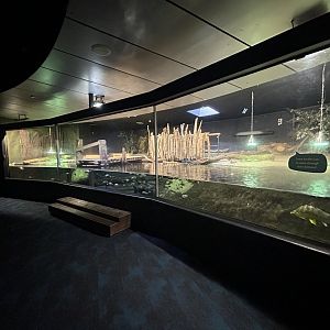 Warmer Waters Exhibit