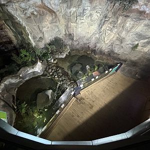 Rocky Shores Exhibit