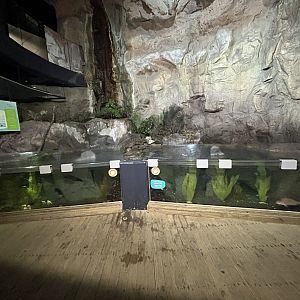 Rocky Shores Exhibit