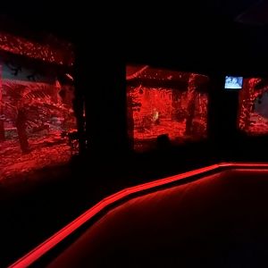 Northern Brown Kiwi Exhibit