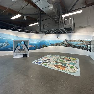 Our Oceans Gallery