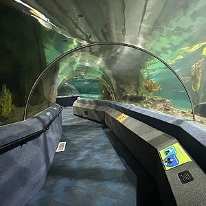 Oceanarium