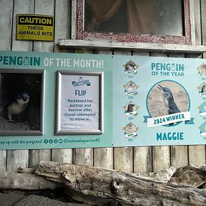 Penguin of the Month Award