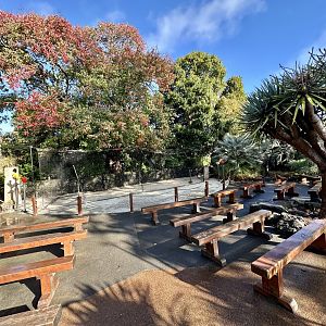 Flight Demonstration Stage