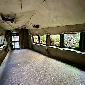 The Islands (Tuatara/Lizard Exhibits)