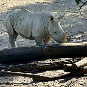 Zuka (Five Months Old)