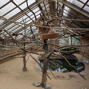 Mixed Exhibit in Palm House