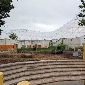 Biodome - Cattle & Buffalo enclosure