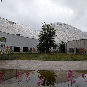 Biodome - empty enclosure