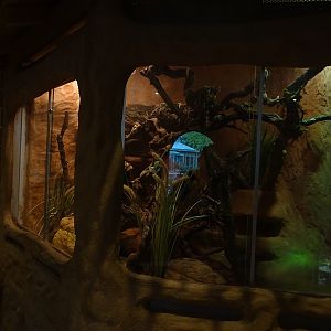 Mongoose house: ball python terrarium