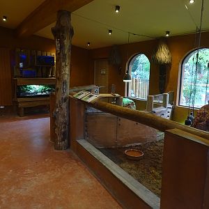 Mongoose house: indoor enclosure for dwarf mangoose and leopard tortoise