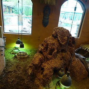 Mongoose house: indoor enclosure for dwarf mangoose and leopard tortoise