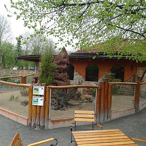 Dwarf mongoose enclosure