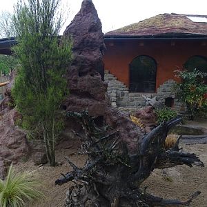 Dwarf mongoose enclosure