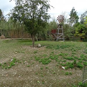Western grey kangaroo (Macropus fuliginosus) and magpie goose (Anseranas semipalmata) exhibit