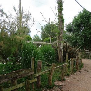 African walkthrough aviary